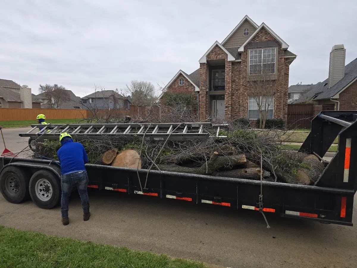 Expert Tree Removal with proper safety equipment in Valdez